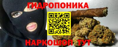 apvp Новозыбков