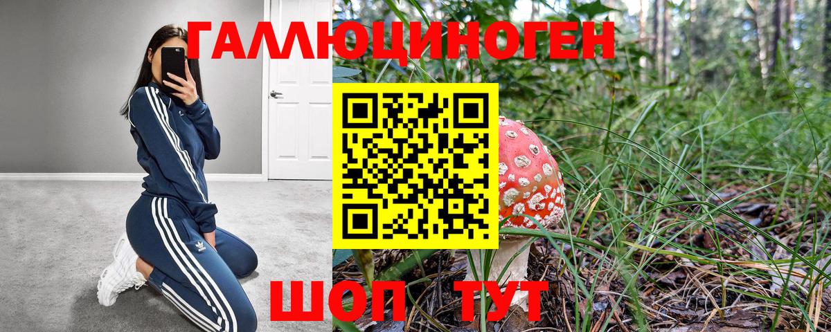 Галлюциногенные грибы GOLDEN TEACHER Скопин